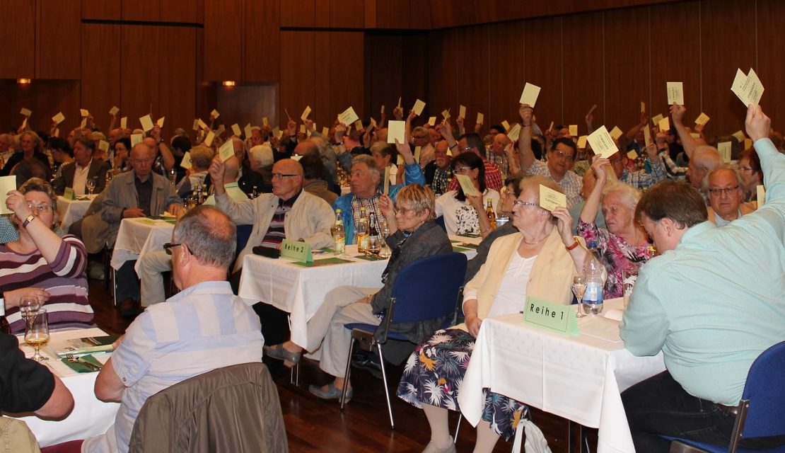 Mitgliederversammlung 2018 in Kirchheim