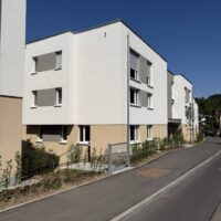 HIMO Anischt5